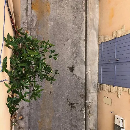 Apartment A La La Ciotat